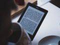 Pourquoi Amazon domine-t-il le E-commerce ?